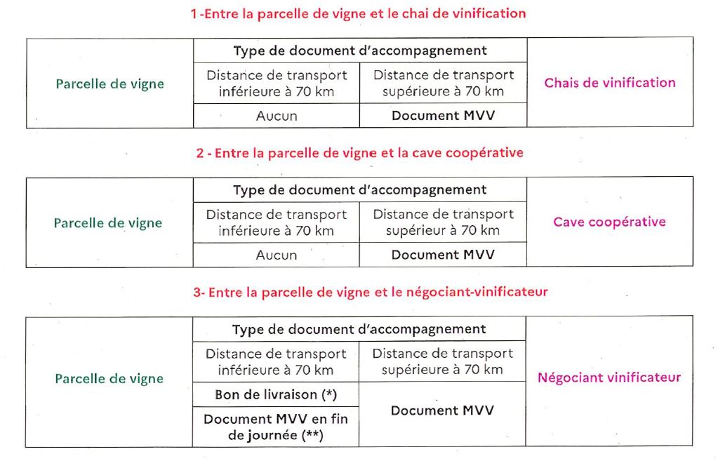 mvv_douanes.jpg