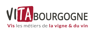 Vita Bourgogne